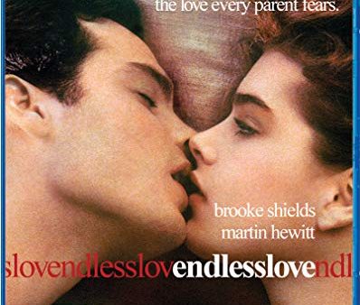 ENDLESS LOVE [BLU-RAY] Online Sale