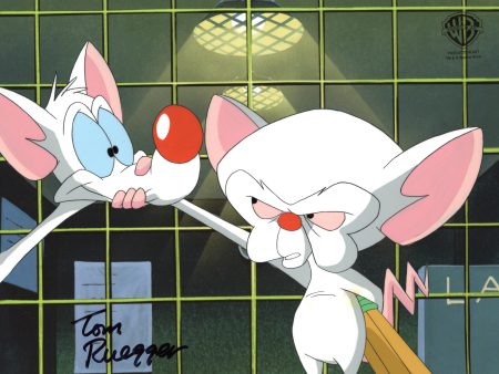 Pinky And The Brain Original Production Cel Signed by Tom Ruegger: Pinky and Brain Cheap